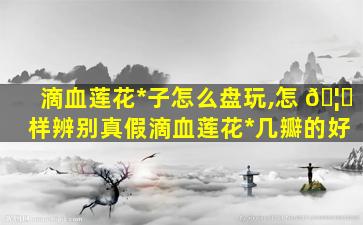 滴血莲花*
子怎么盘玩,怎 🦅 样辨别真假滴血莲花*
几瓣的好